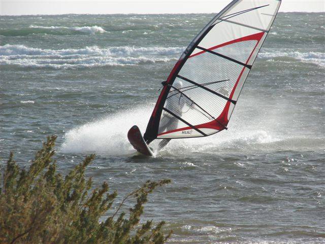 Afternoon Session 16 Jan 09