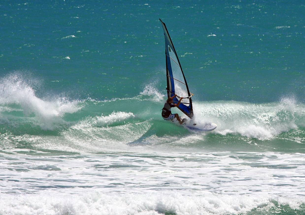 Vickys Pics from Monday