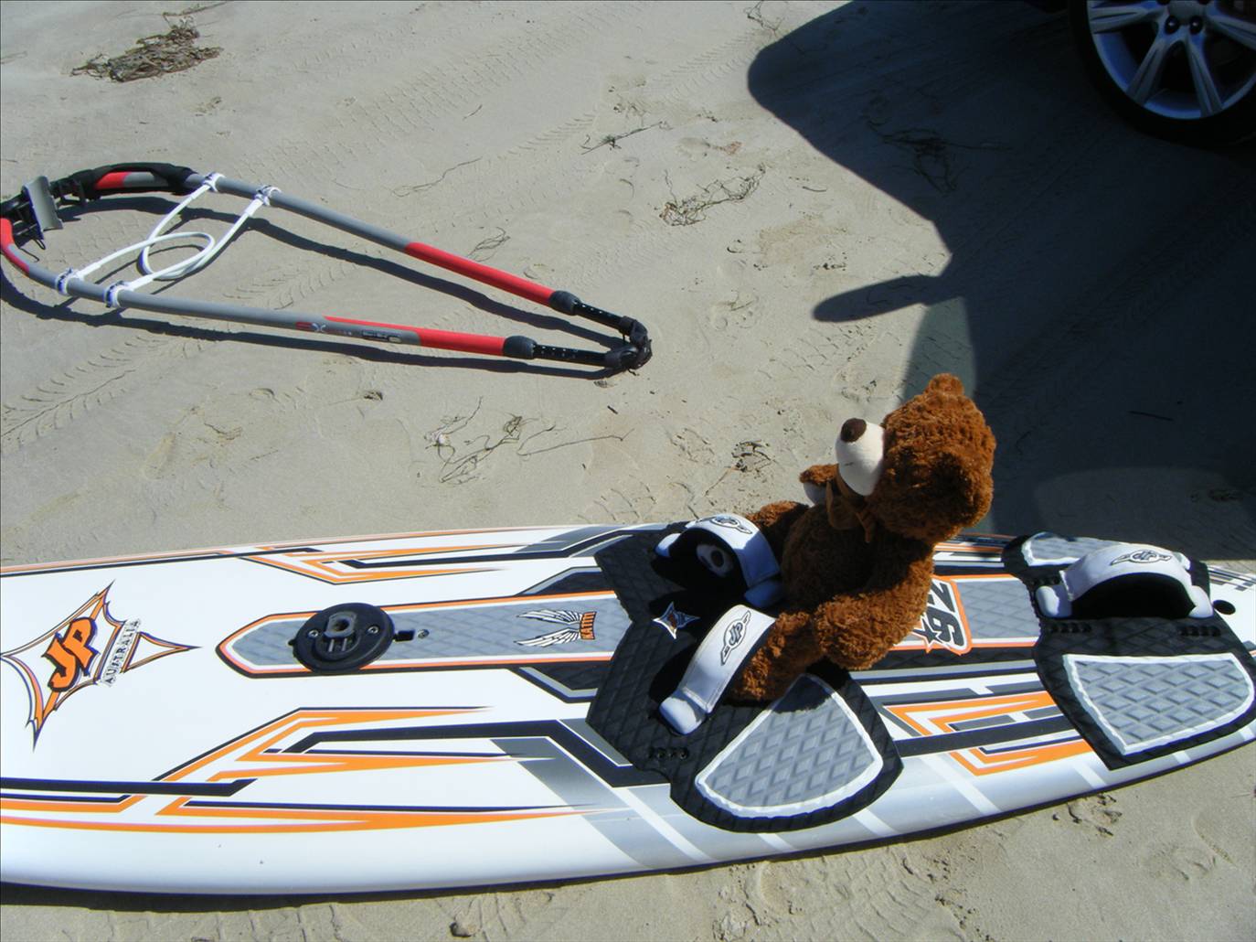 Barney the windsurfing bear