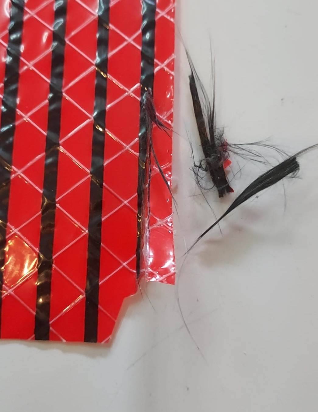 WhatsApp Image 2026-01-19 at 14.27.57