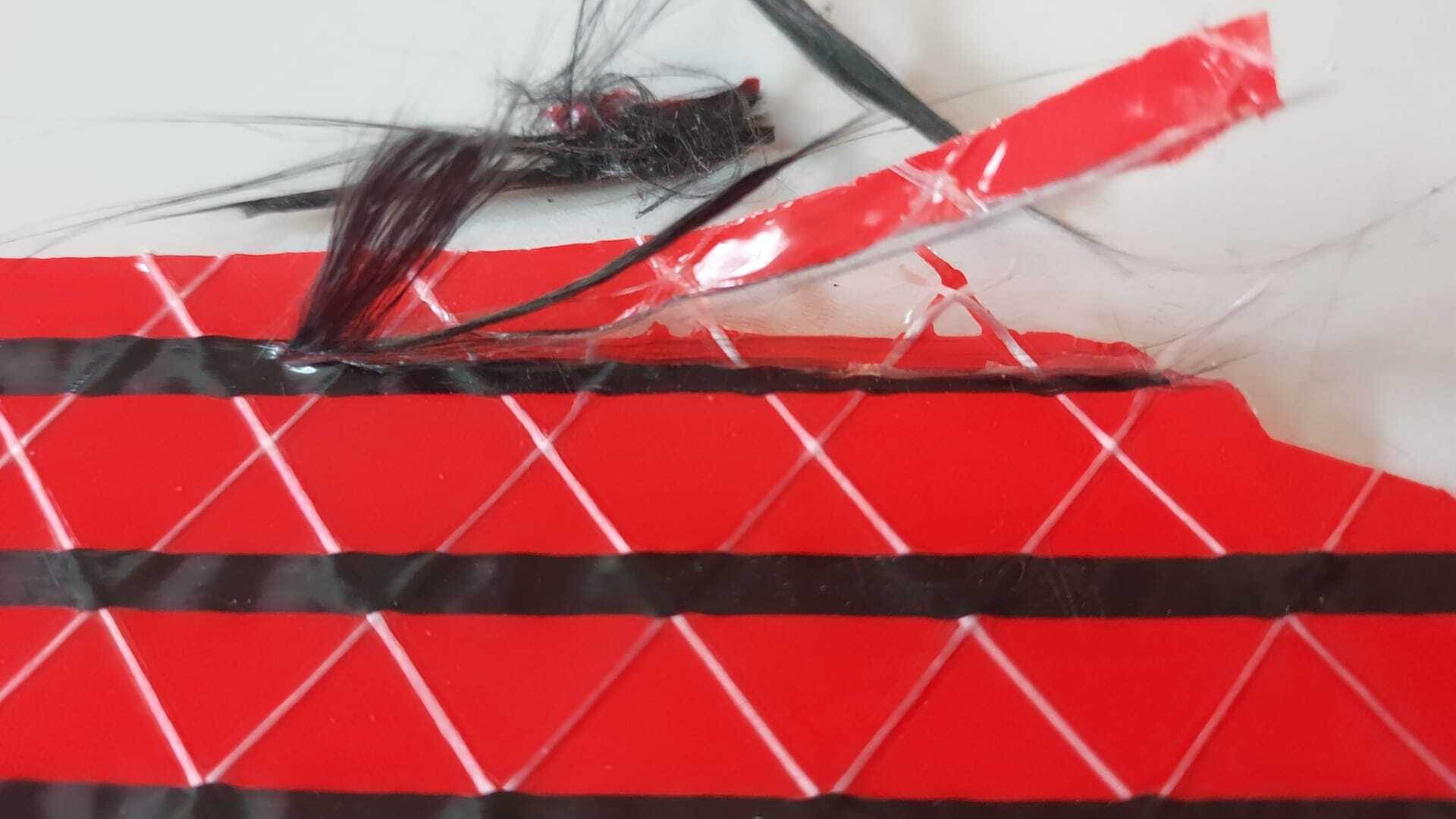 WhatsApp Image 2026-01-19 at 14.28.28