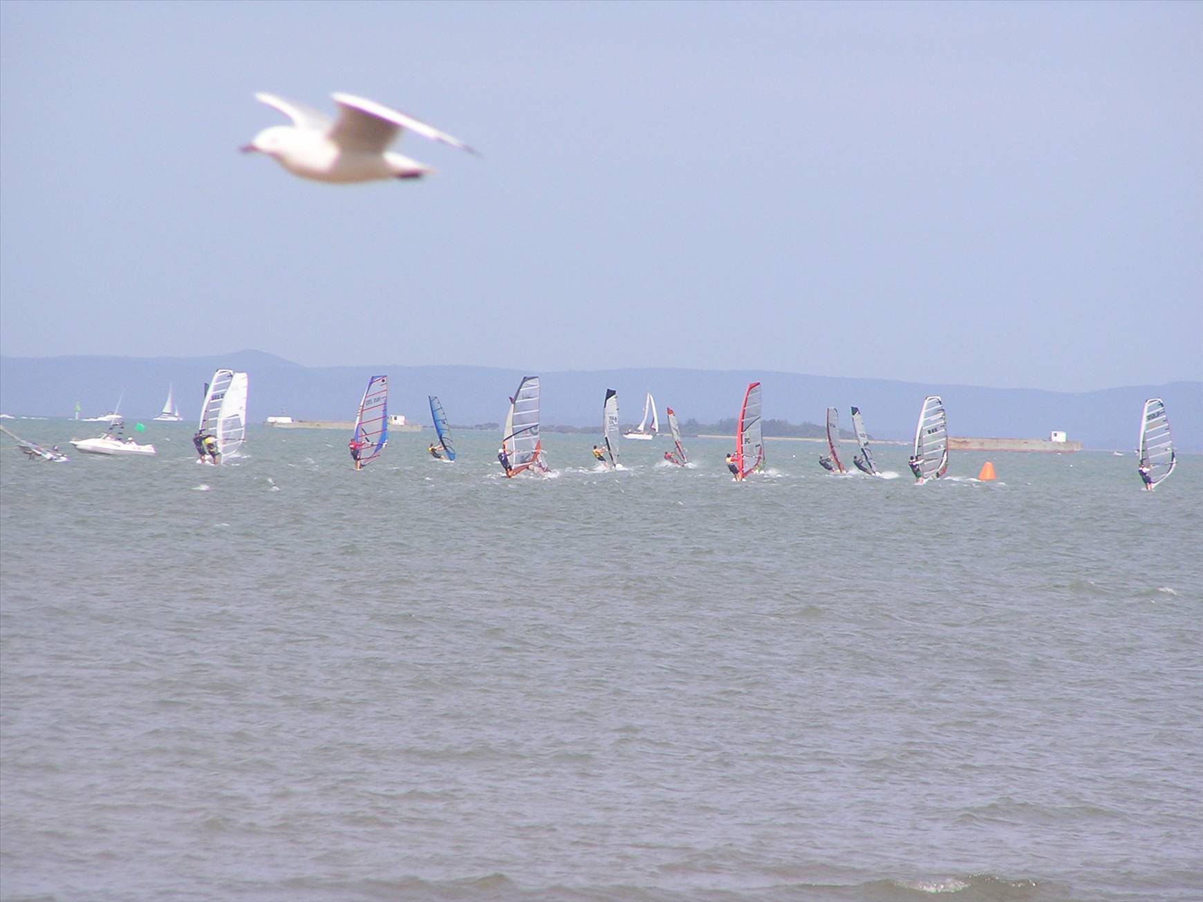 Round Six Bayside Slalom