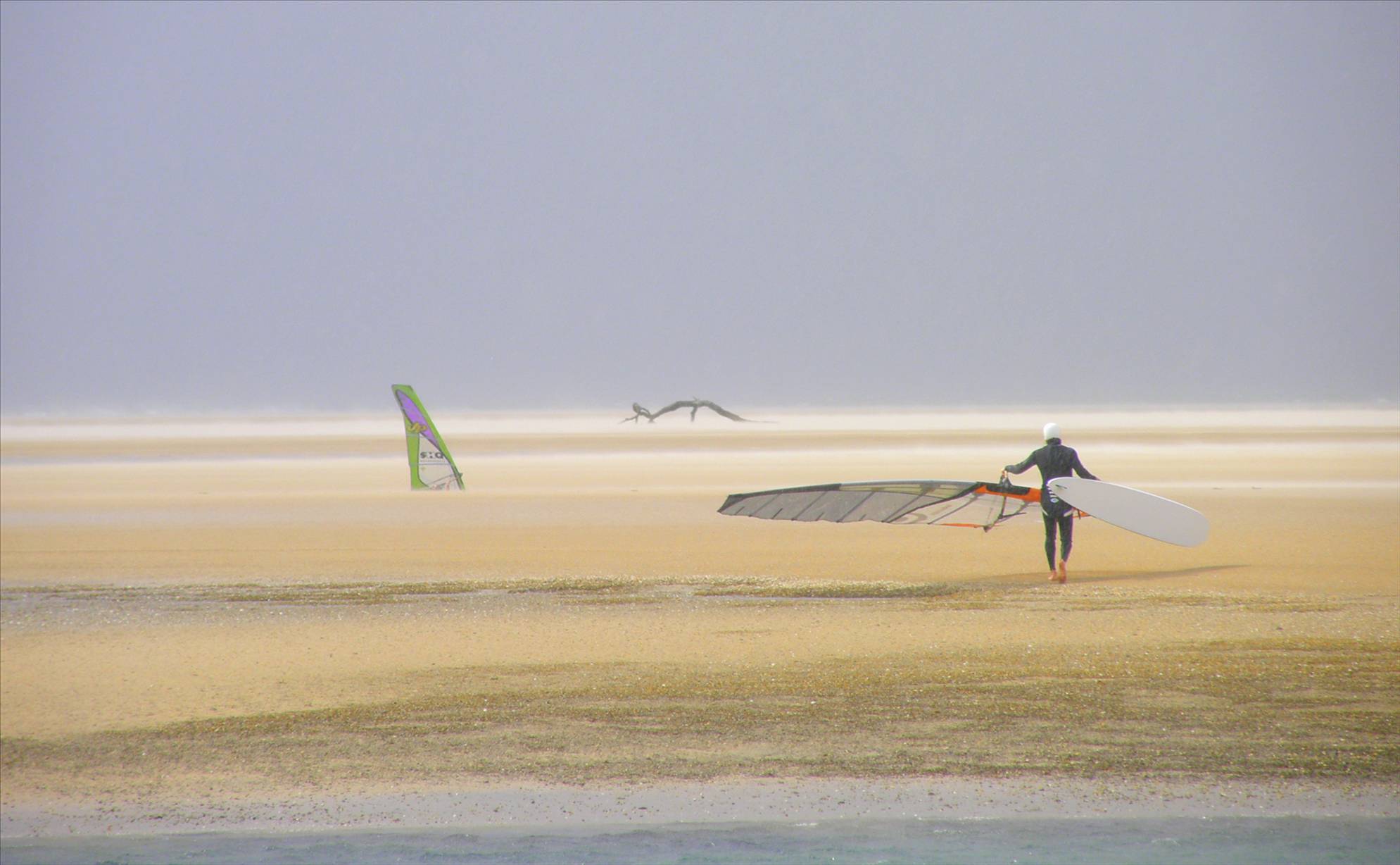 40knot day in Tassie Wed 4th March-forgot GPS