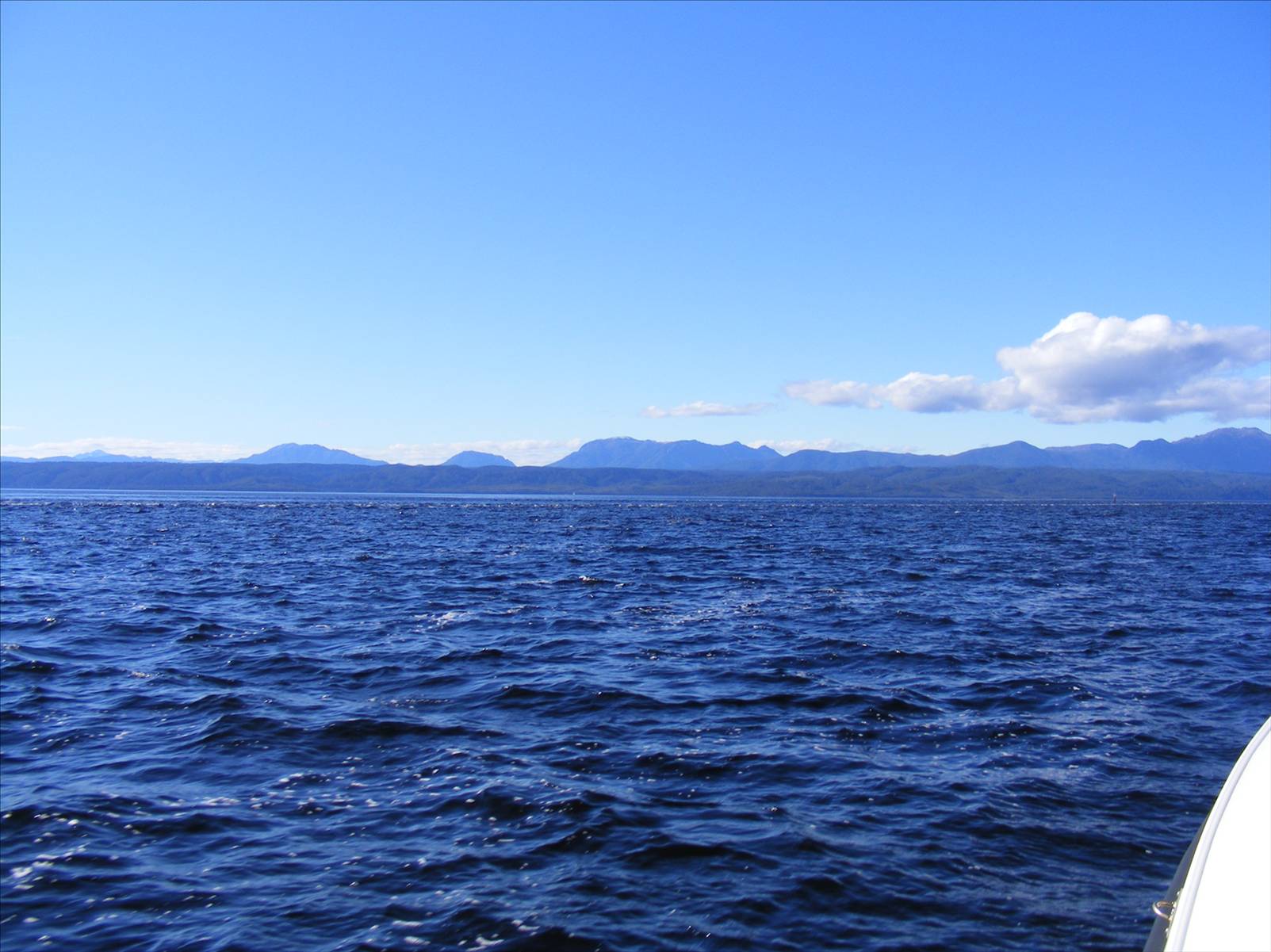 Wall at Macquarie Harbour