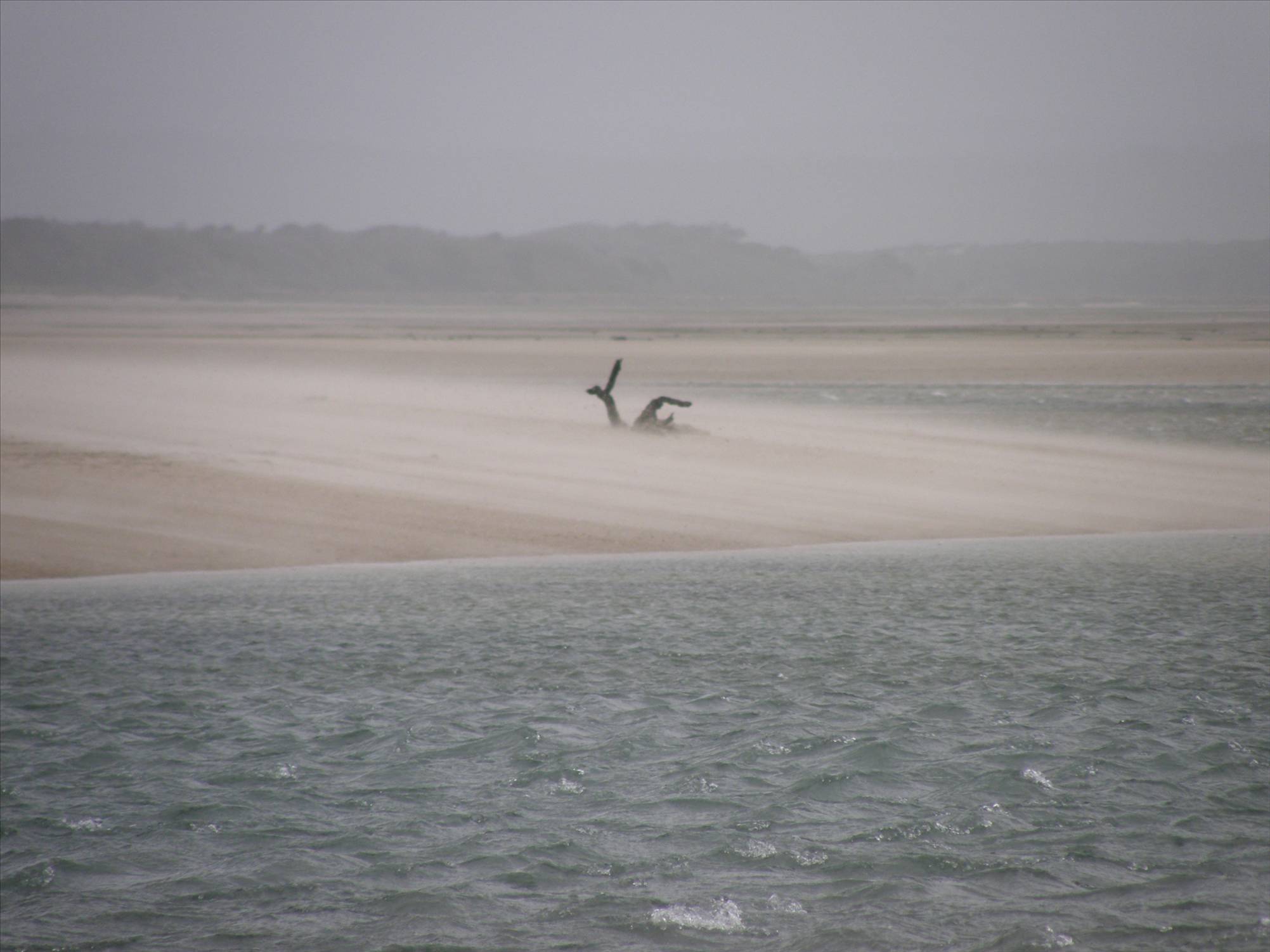 The East Stanley Speed run Mar 31 2009