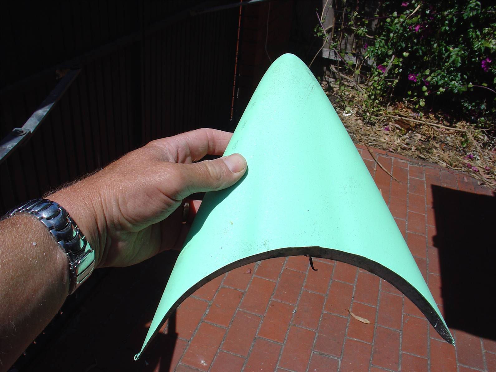 bd pics april 2009 025