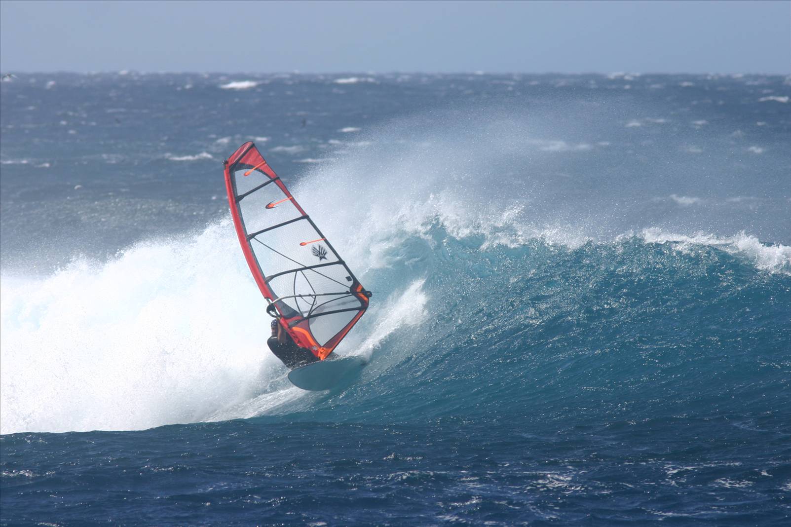 2oo7 kotp / ant allie