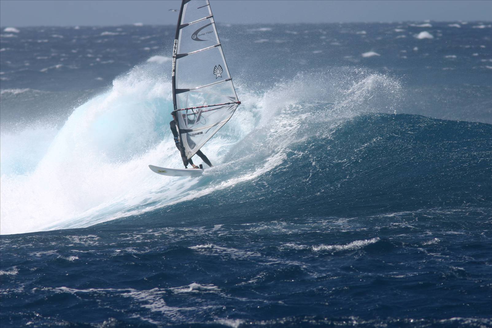 2oo7 kotp / ant allie