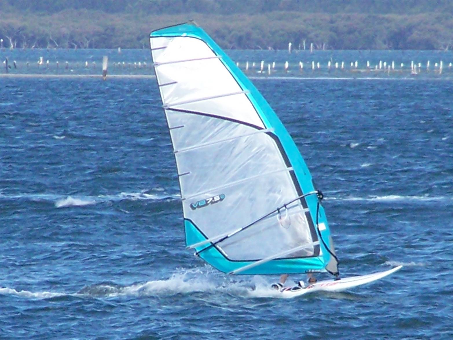 Tim at St George sailing