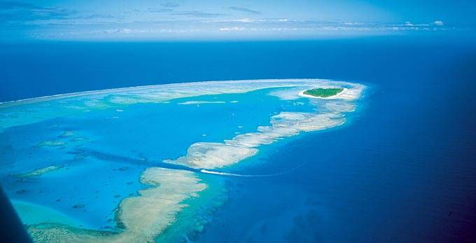 Lady-Musgrave-Island 015271