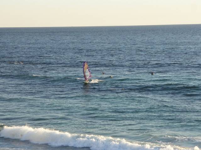 Bertie light wind wave sailing