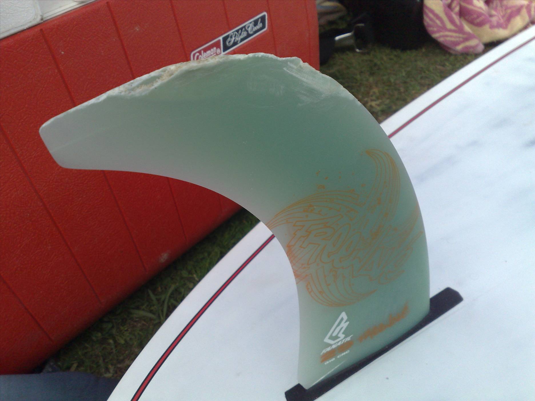 SASWA comp day photos