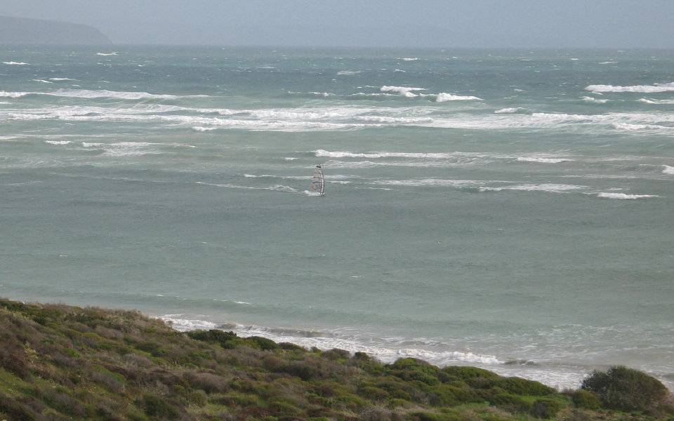 snapper point 2/07/09