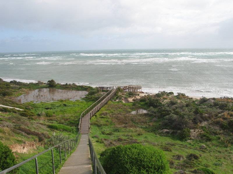 snapper point 2/07/09