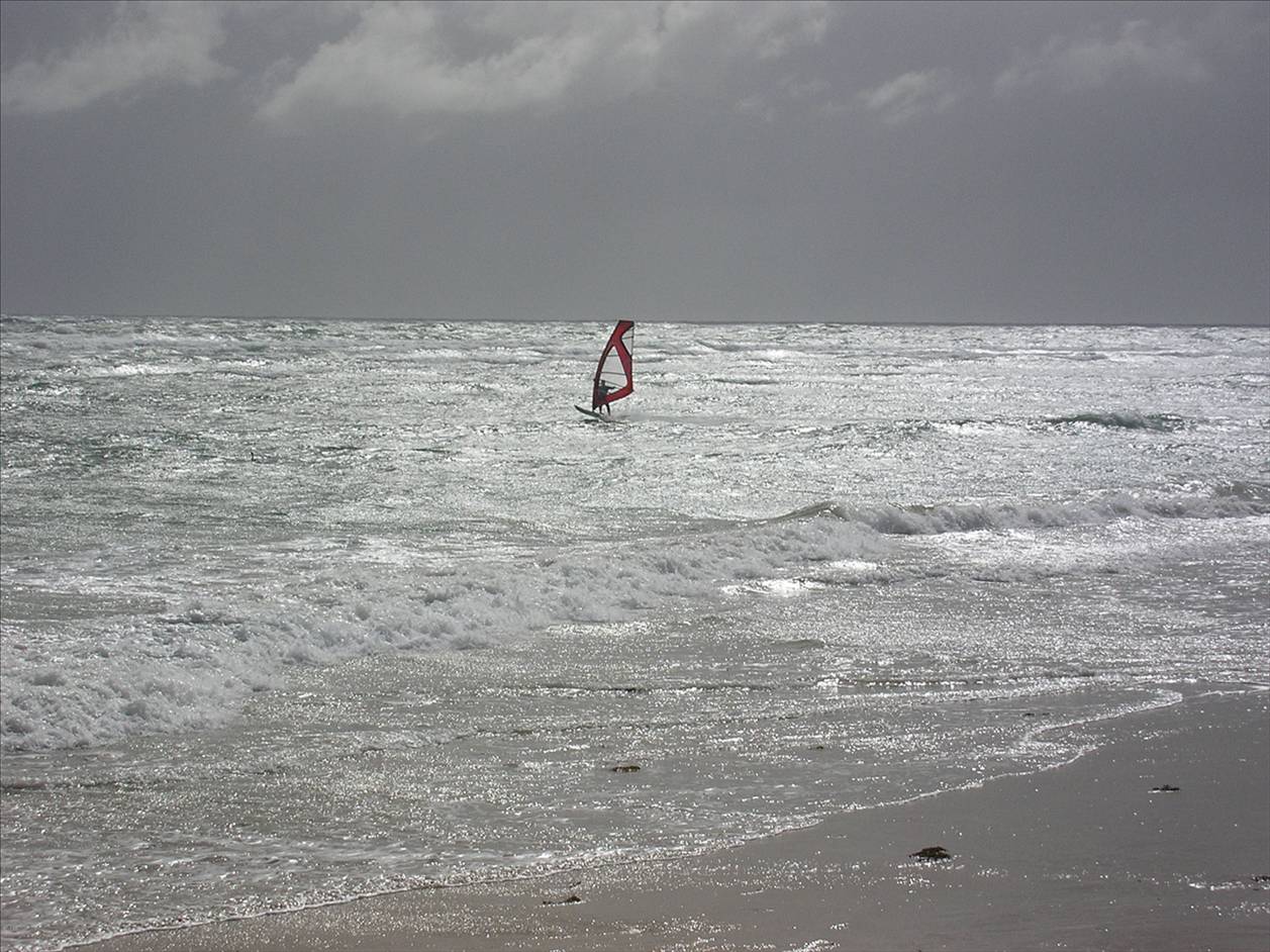 Divaldo - Snapper Sunday Morning