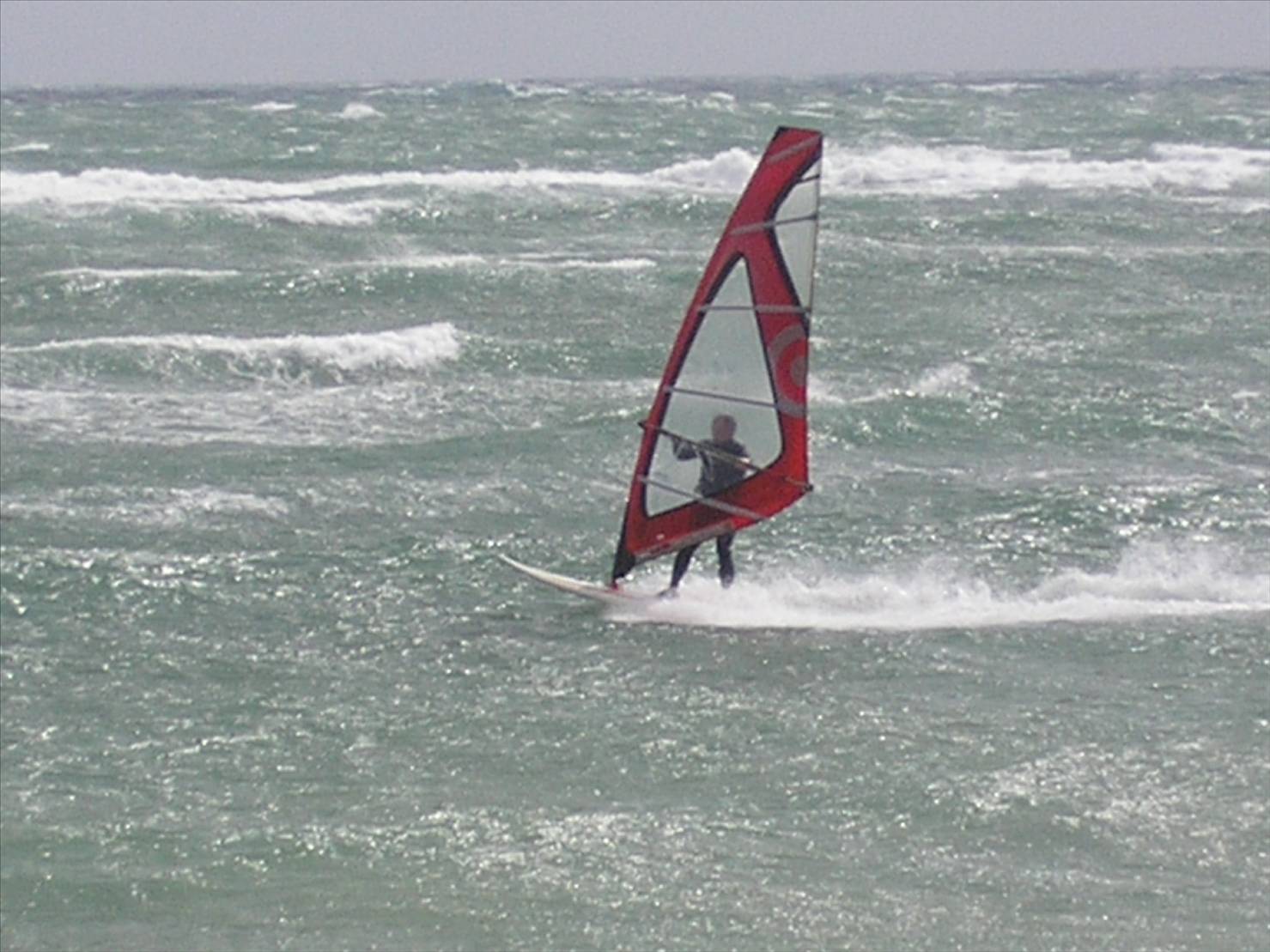 Divaldo - Snapper Sunday Morning