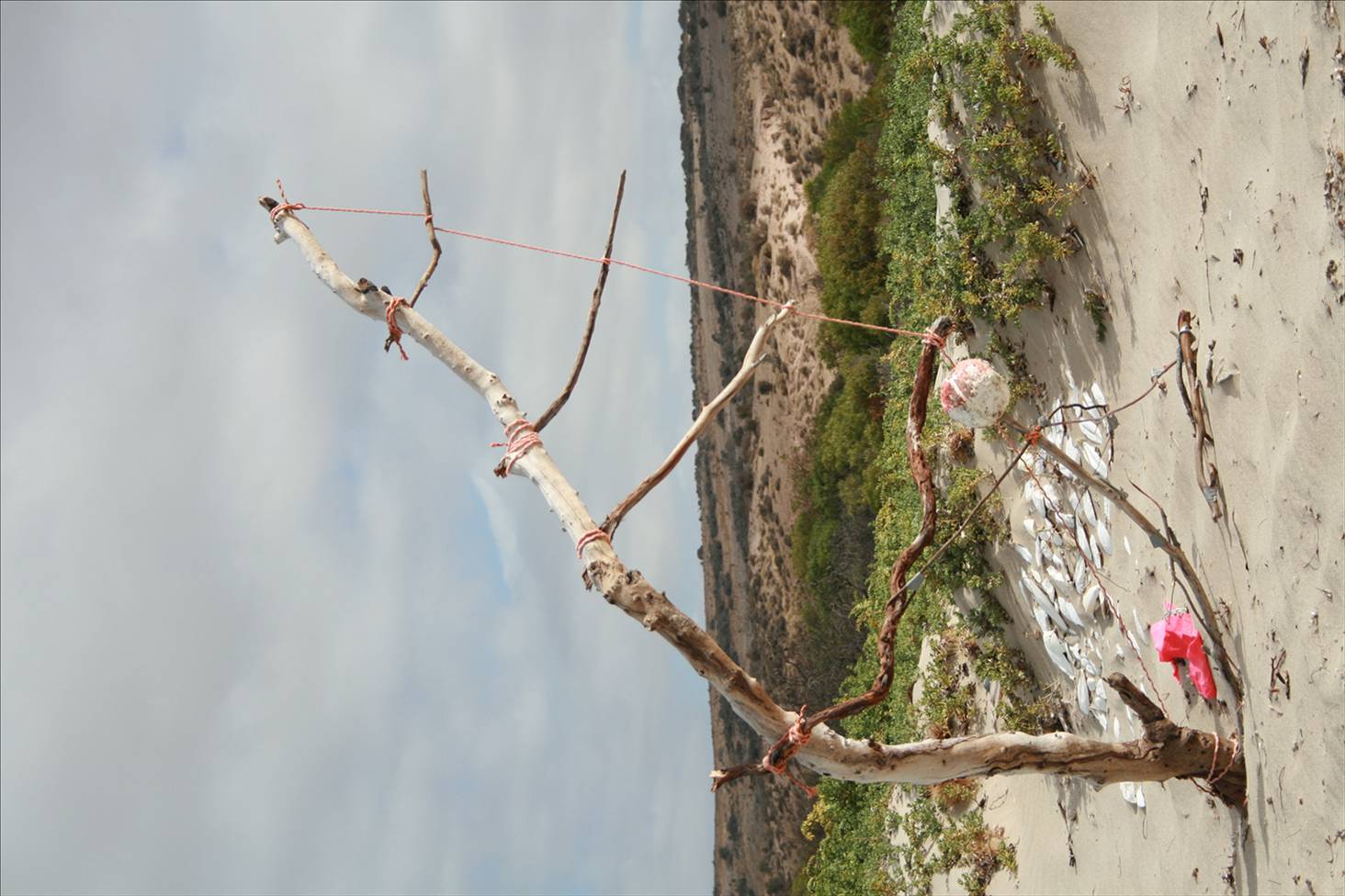 quite a windy day at corronation beach w.a