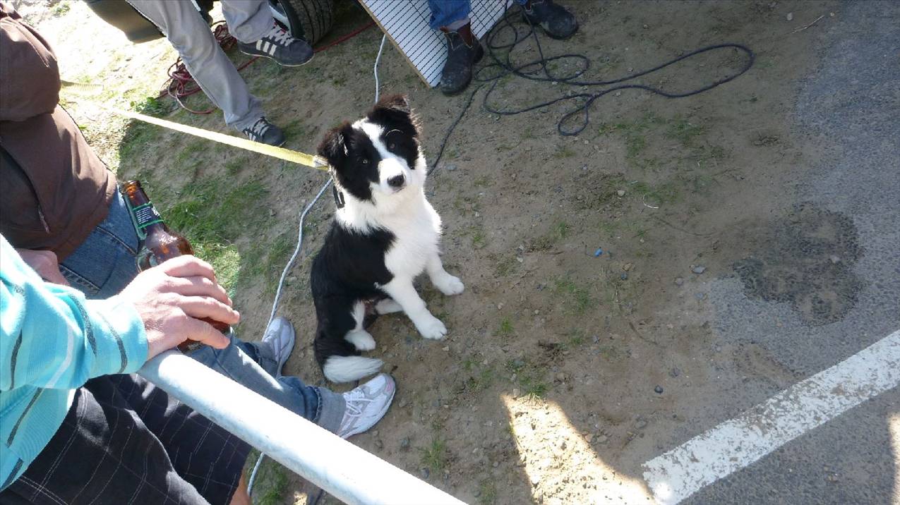 State Wave Titles 09 Day St 059