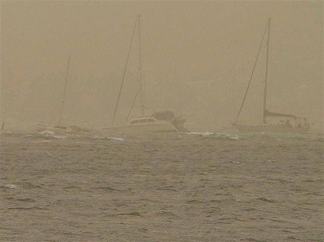 dust storm gale at Belmont