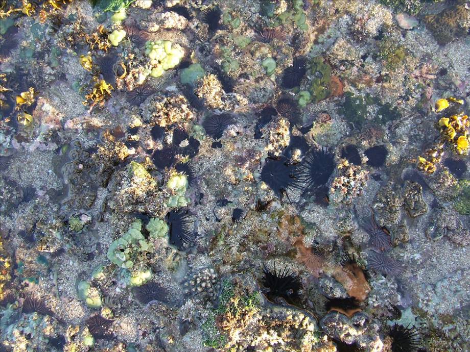 Eddie promised a pair of sun glasses