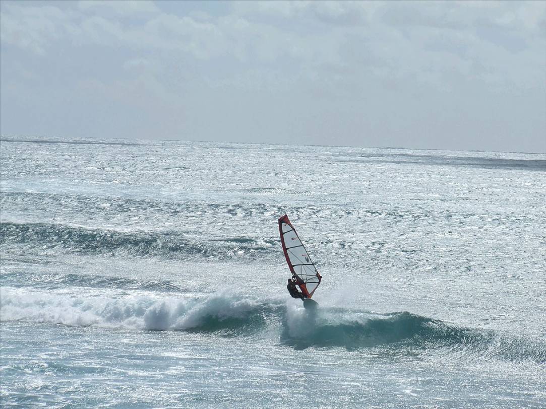 Jack the the snake roberts