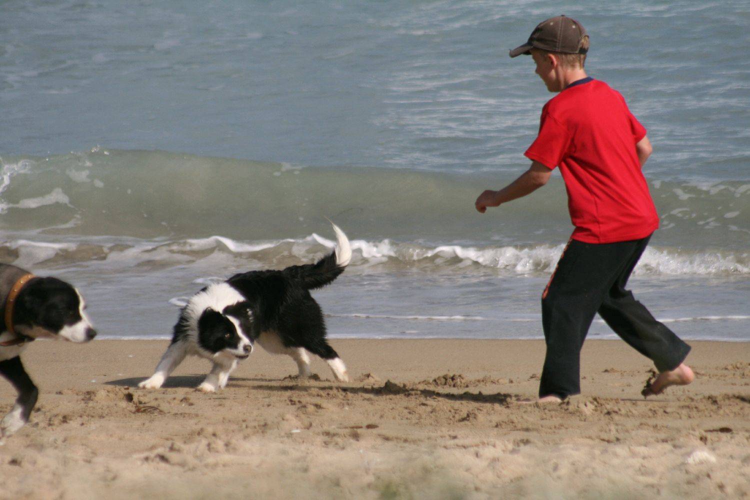 Beachport weekend 4/10/09