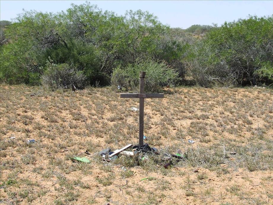 R.I.P     KIWI      North West  Ninga 260kmph  11 years