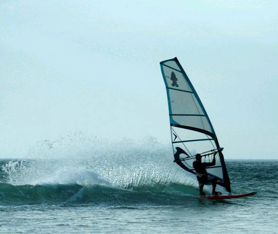 Photo's by Vikki Collis