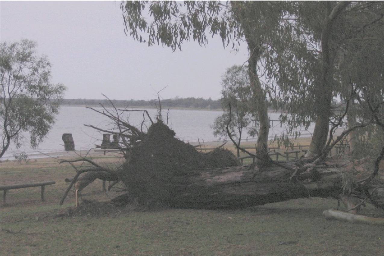 Yesterday's storm that hit Barmera 60+ knot winds and heavy rain