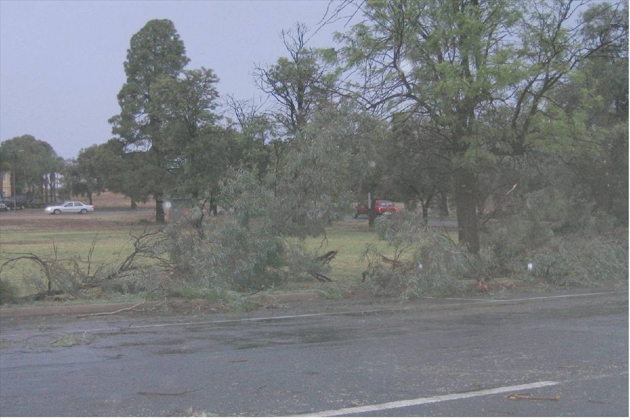 Yesterday's storm that hit Barmera 60+ knot winds and heavy rain