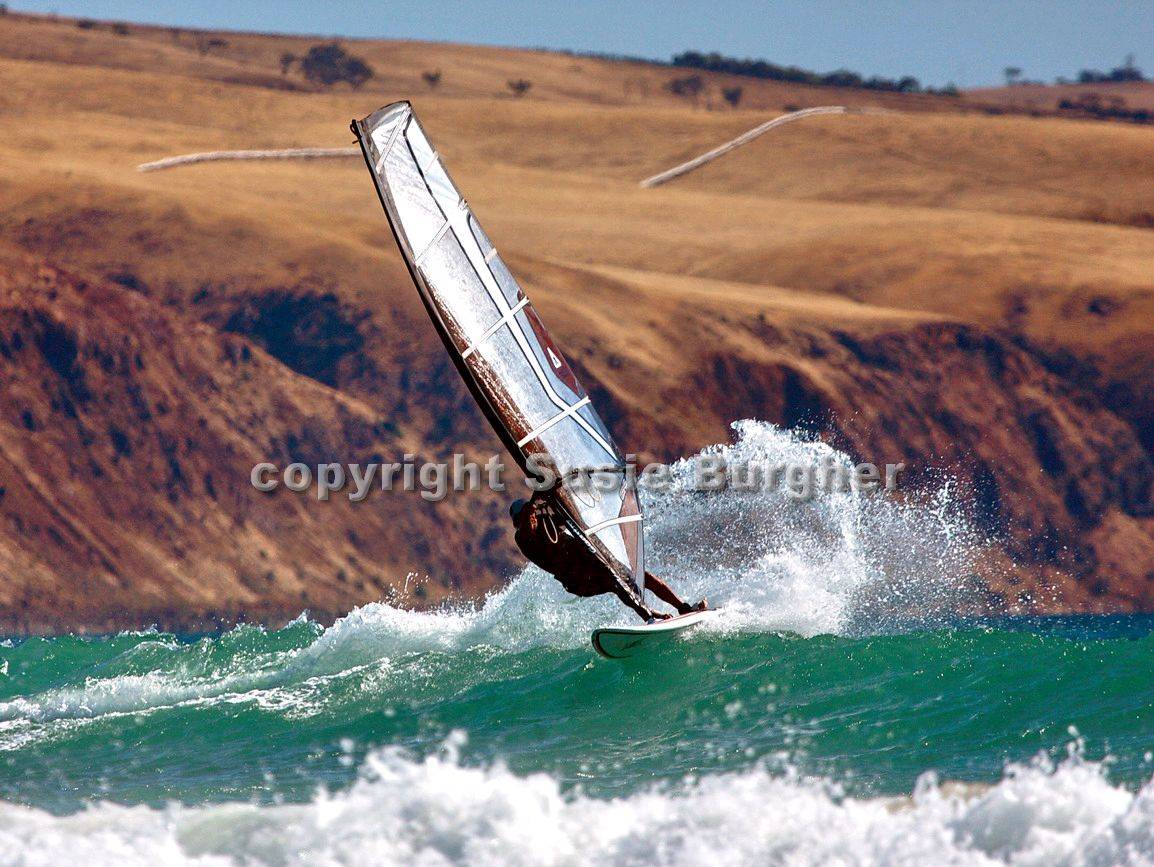 Sellicks on 15 Jan 2010