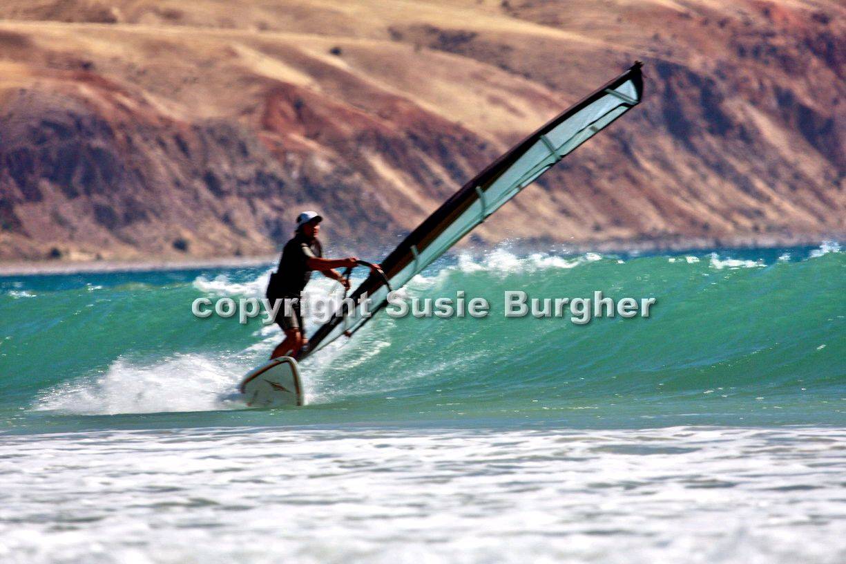 Sellicks on 15 Jan 2010