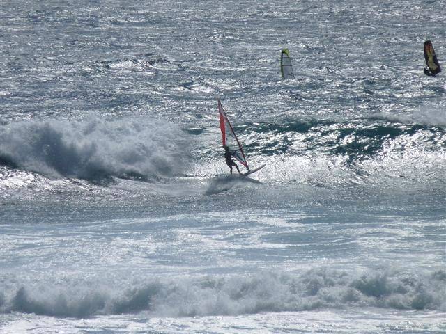 national titles 2010