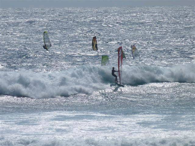 national titles 2010