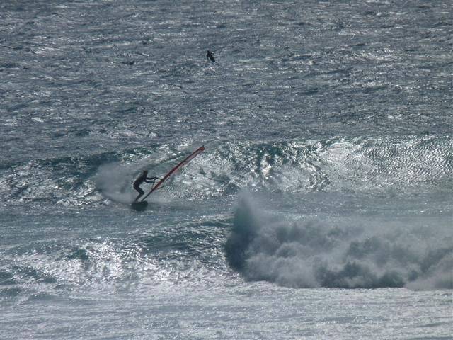 national titles 2010