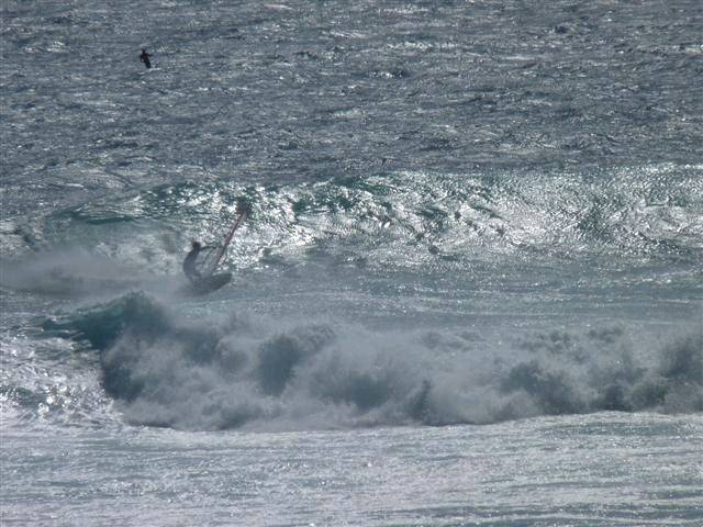 national titles 2010