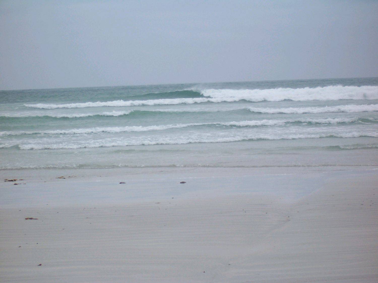 river mouth nene feb 2010