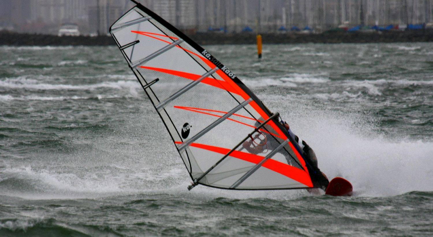 Windy Day April 2008 020