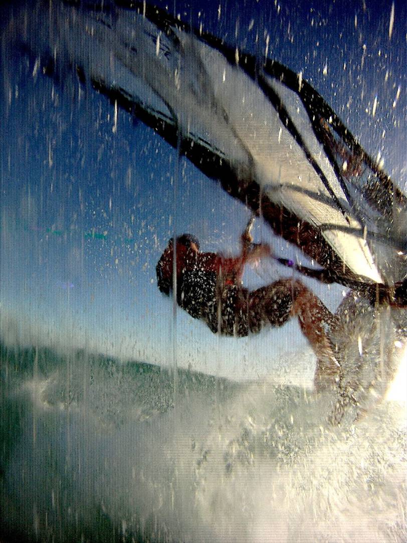 Spotty @ Woodmans Point