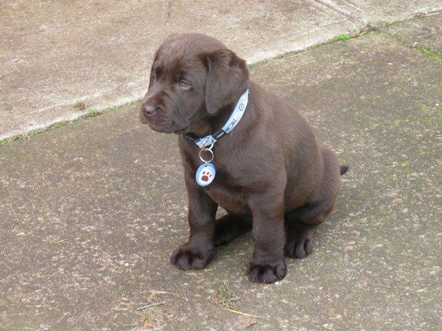 borrid garden day 005