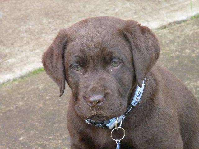 borrid garden day 006