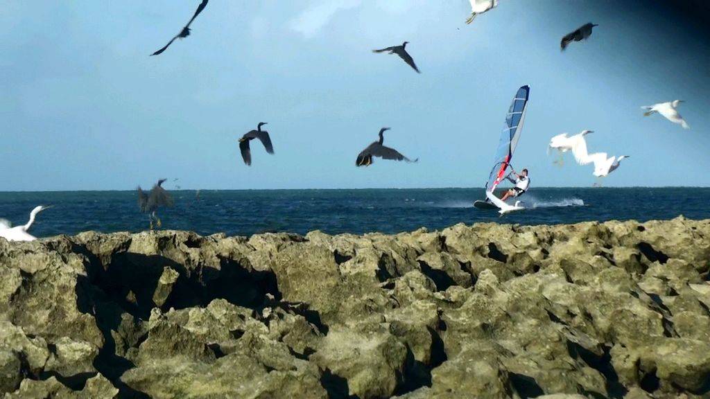 green island the past few days