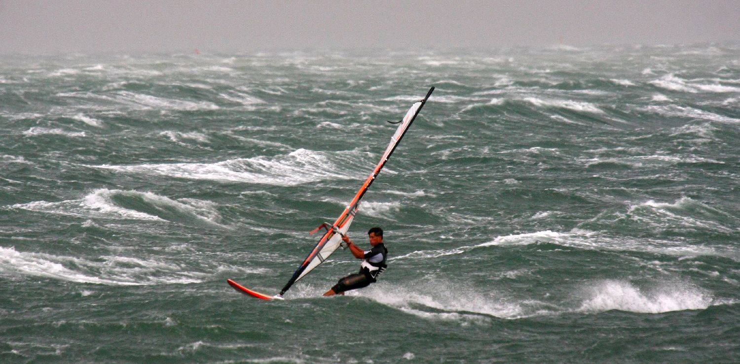 Windy Day April 2008 159