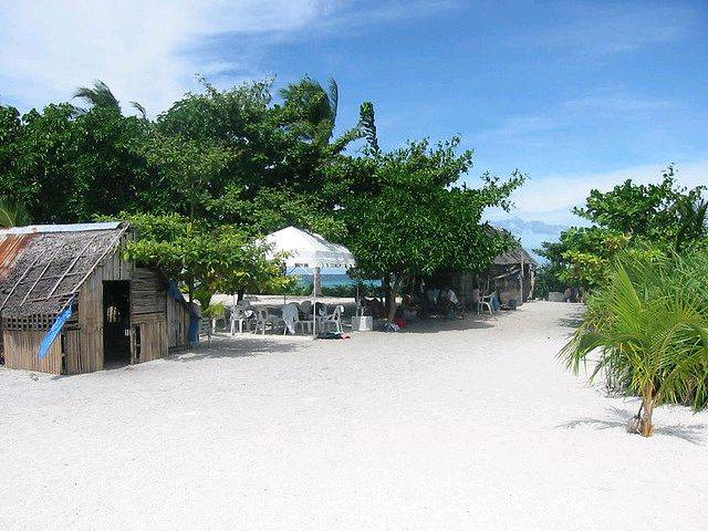 491136559 e475eedca0 z