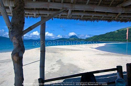 4244660595 dbdccb6a65