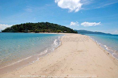 4245435174 e87faa293e