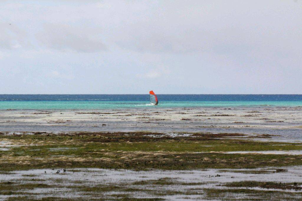 green island speed week day 4