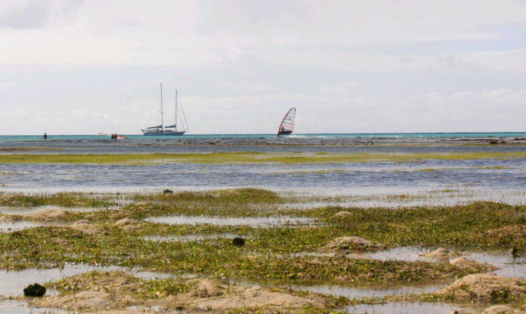 green island speed week day 4