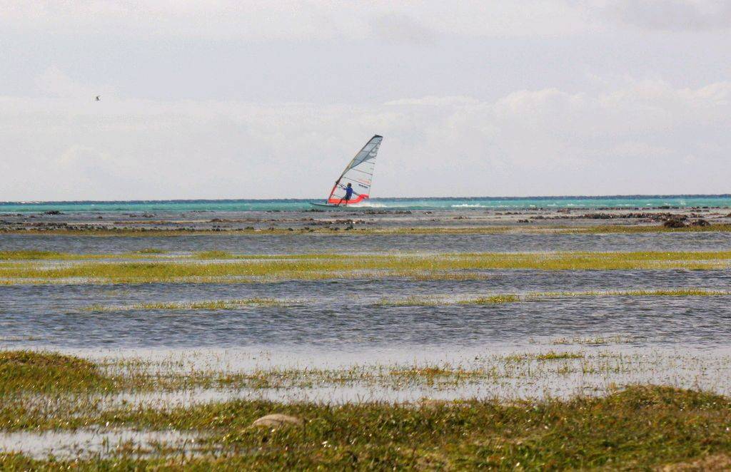 green island speed week day 4