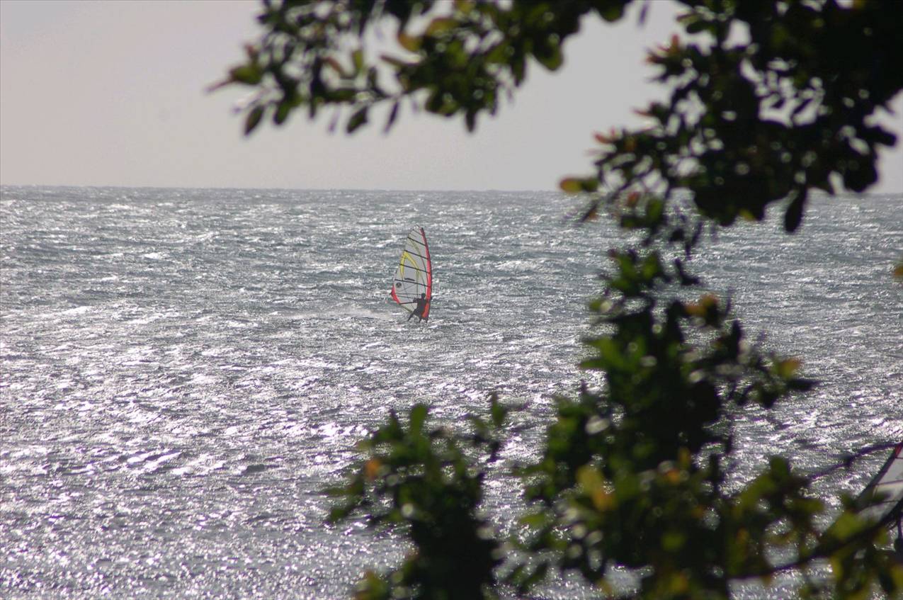 Early Jeri Season 2010